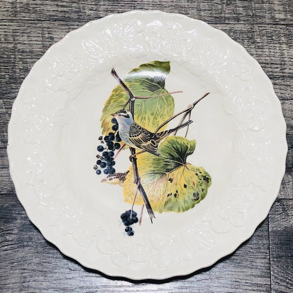 Alfred Meakin Audubon's Birds of America WHITE CROWNED SPARROW Plate #114 A1